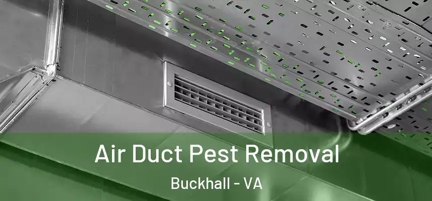  Air Duct Pest Removal Buckhall - VA
