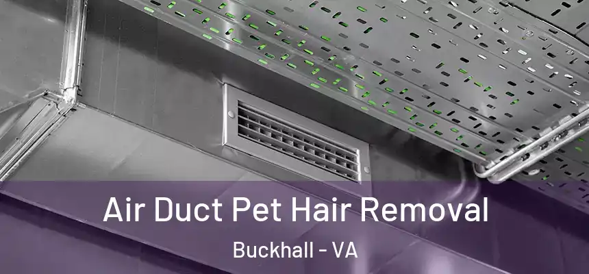  Air Duct Pet Hair Removal Buckhall - VA