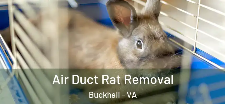  Air Duct Rat Removal Buckhall - VA