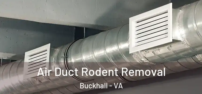  Air Duct Rodent Removal Buckhall - VA