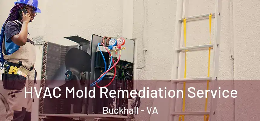  HVAC Mold Remediation Service Buckhall - VA
