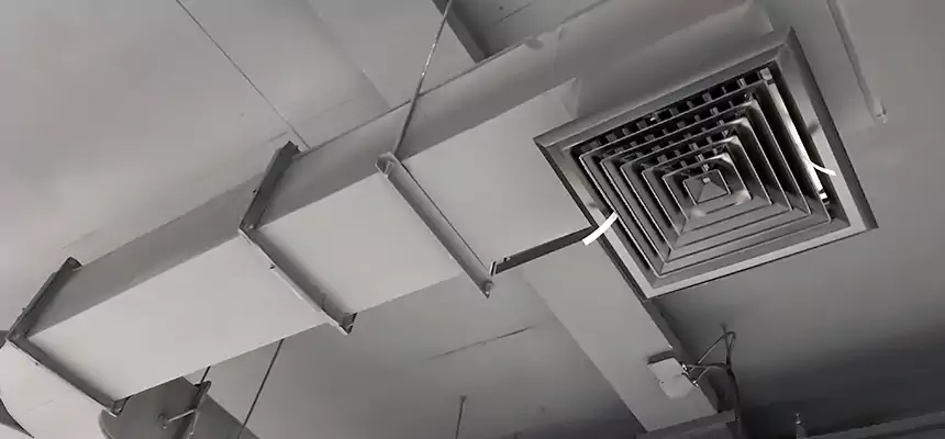 Restorative Allergy Relief Vent Cleaning – Coil, Blower & Housing Detail in Buckhall