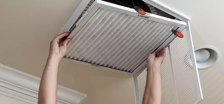 Our Insect Removal from Air Ducts Services in Buckhall, VA