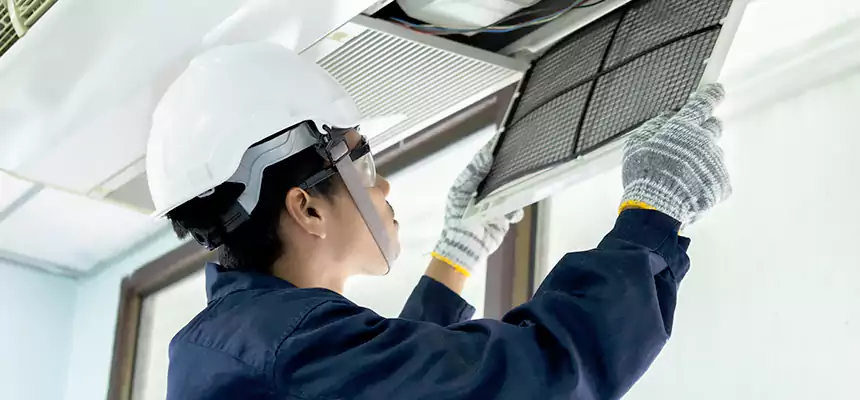 Our Mold & Mildew Removal from Air Ducts Services in Buckhall, VA