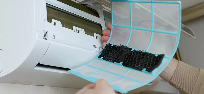 Gentle Ductwork Odor-Control Pet Dander Duct Cleaning in Buckhall, VA