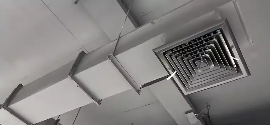 Our Rodent Droppings In Vents Services in Buckhall, VA