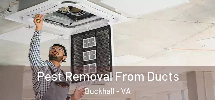  Pest Removal From Ducts Buckhall - VA