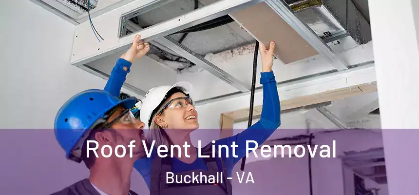  Roof Vent Lint Removal Buckhall - VA