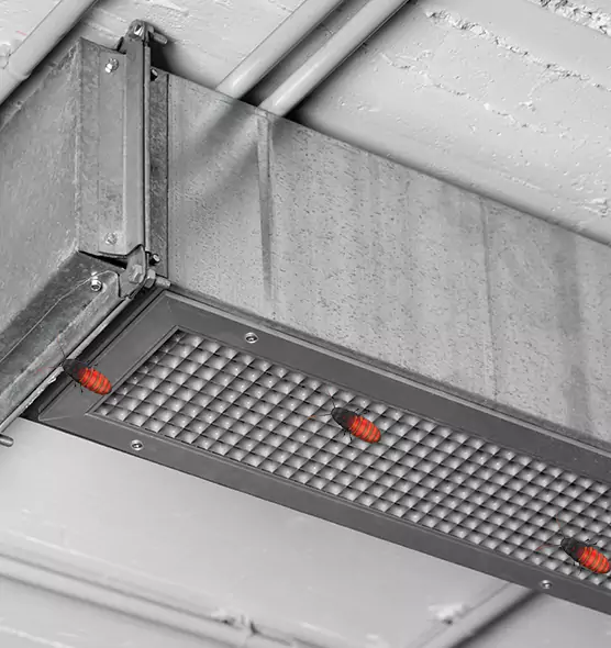 About Air Duct Cockroach Removal in Buckhall, VA