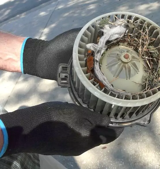 About Air Duct Mice Removal in Buckhall, VA