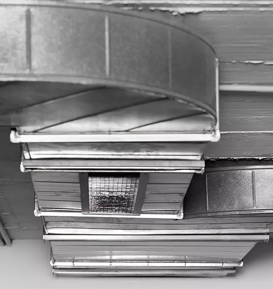 Professional Air Duct Pest Removal in Buckhall, VA