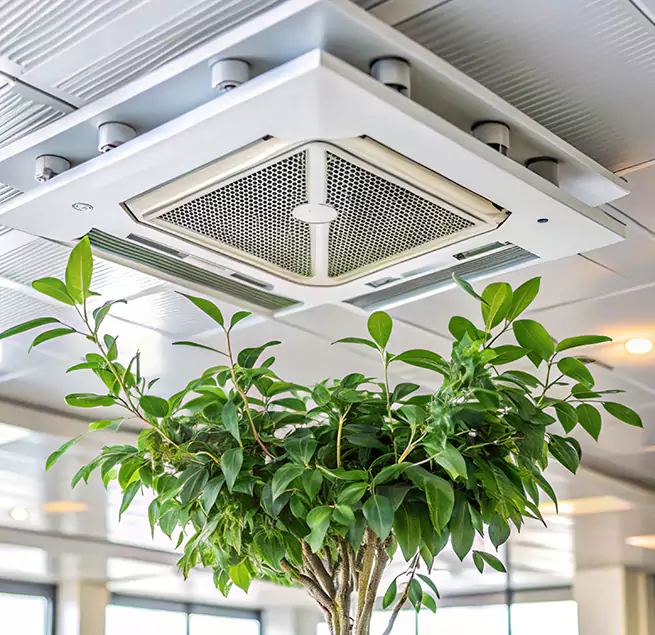 Why Homeowners & Businesses Trust Us in Buckhall, VA?