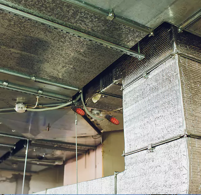 Why Homeowners & Businesses Trust Us Buckhall, VA?