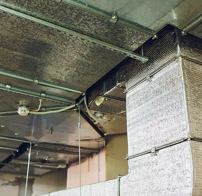 Why Homeowners & Businesses Trust Us in Buckhall, VA?